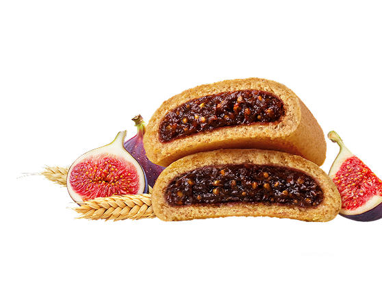 Fidge with Newtons bars